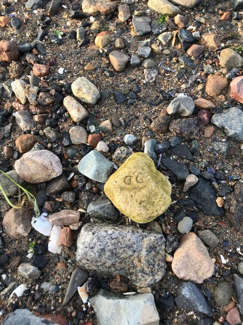 A small heavily-weathered cobble, originally a sandy color but here green with algae. A letter "D" is visible.