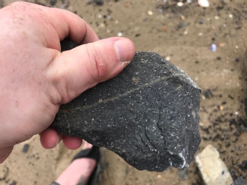 The other side of the axe-head shaped rock, held in a hand. A thin vein of a lighter-colored material runs from bottom-left to upper-right. This side has shallower flakes taken out.