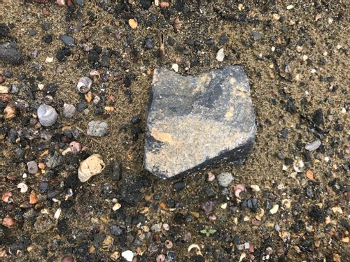 Another small cobble of the dark grey material as it appears in situ. Most of what can be seen is the light tan patina; it might be mistaken for a large chunk of dusty granite gravel.