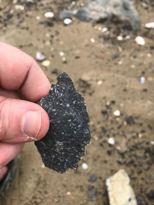 A close-up of a single conchoidal (shell-shaped) flake taken off the stone pictured above. It has an extremely thin semicircular edge opposite the striking platform, which is thicker. The lighter-colored flecks in the dark-grey material don't obviously interfere with the fracture plane, which is relatively smoothly curved.