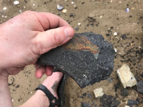 an axe-head shaped rock, dark grey with white flecks, held in a hand. The rock has conchoidal fractures at its edge where I knocked off flakes.