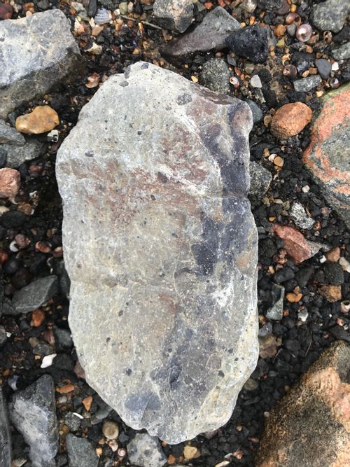 A much paler material with variegated specks an areas of color; rusty red and dark purple grey. The cobble is oblong, maybe 7" in the long dimension and 3" in the short.