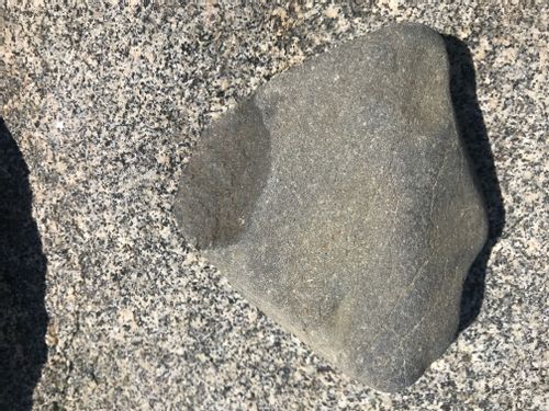 A small triangular rock with what looks like a flake taken out of one corner. Gray, gneiss or granite maybe. Smooth textured.