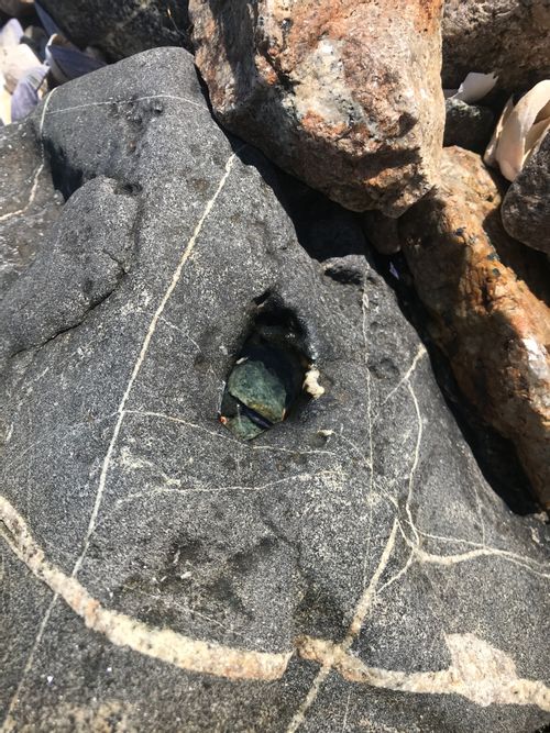 A rock with a small hole about an inch and a half square. A small green rock submerged under water in the hole.