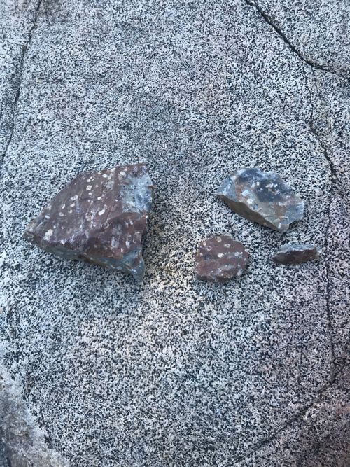 A rock with three flakes taken out of it. The flakes are next to the rock. They have a reddish cortex and grey and black mottled interior. Fractures fairly smoothly.