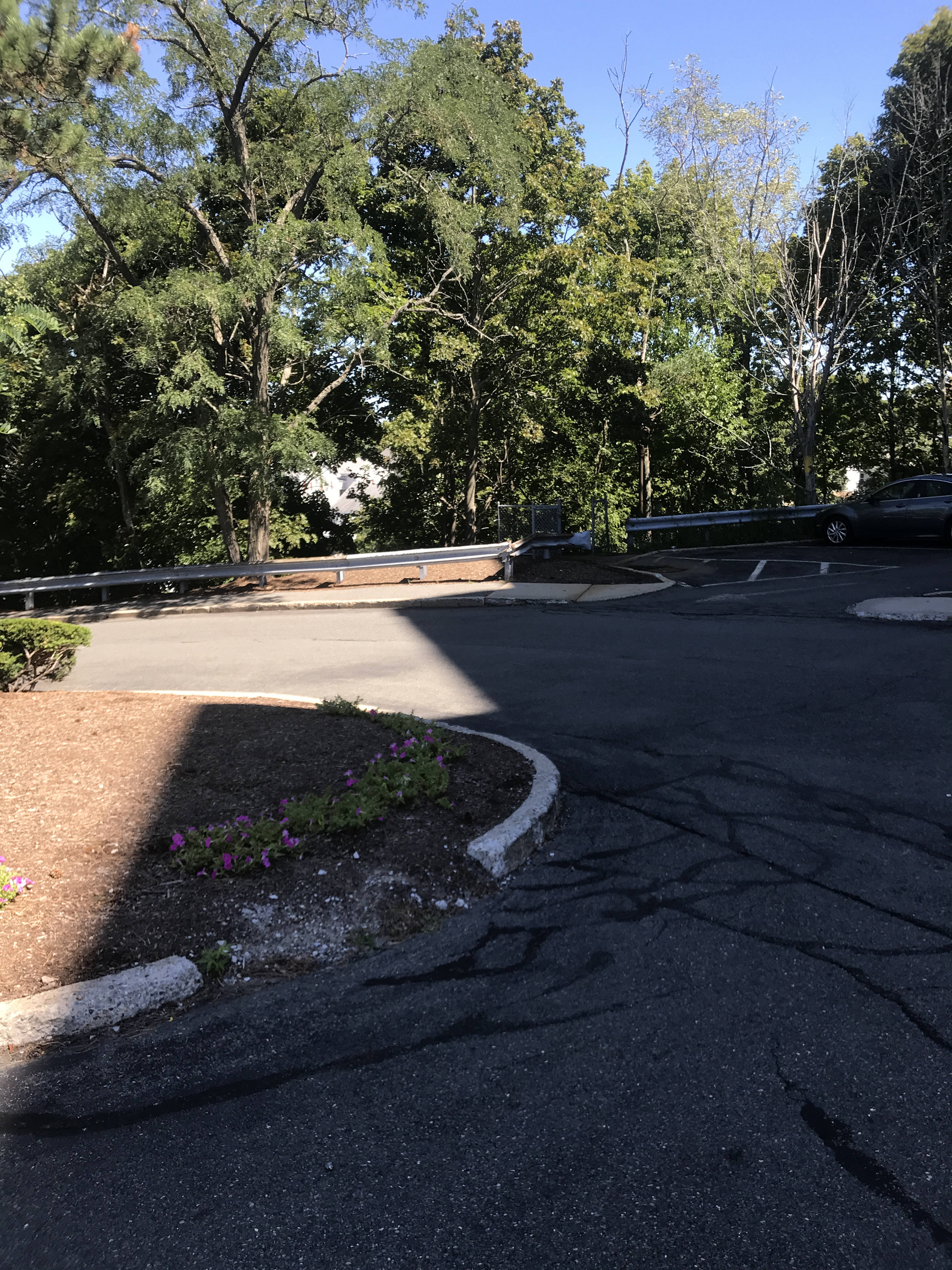The top of a driveway, curving out of view and down a slope to the left