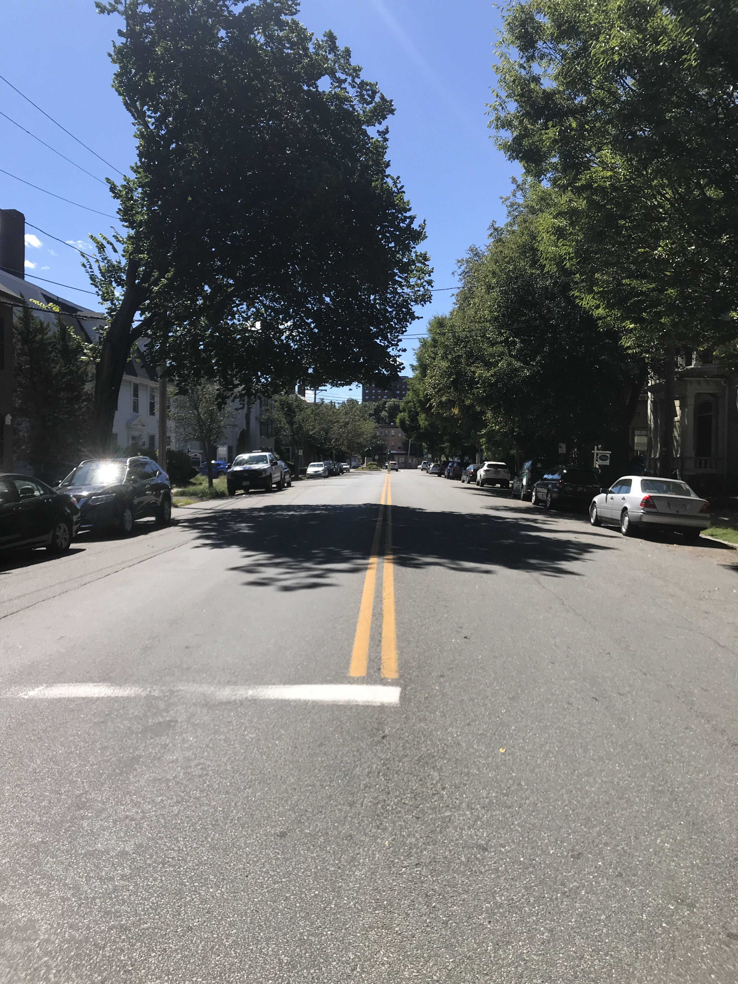 View down the center of Essex Street from Flint Street, looking west. Both sides of the street are lined with trees and cars. In the far distance Salem Heights can be seen above the trees.