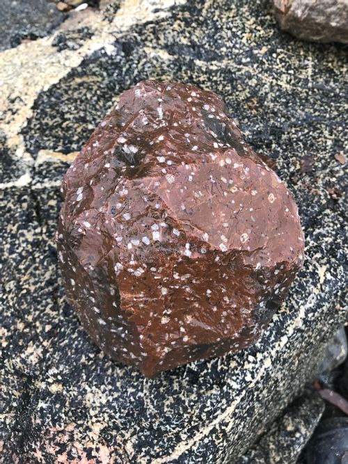 A big chunk of red rock speckled with white flecks