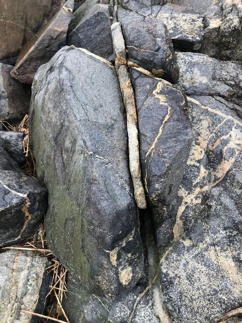 A granite or gneiss boulder with a stripe of something else. The stripe is starting to come loose.