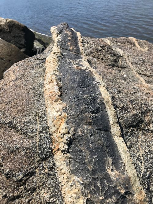 Grey rock with black inclusion in a thick well defined stripe 